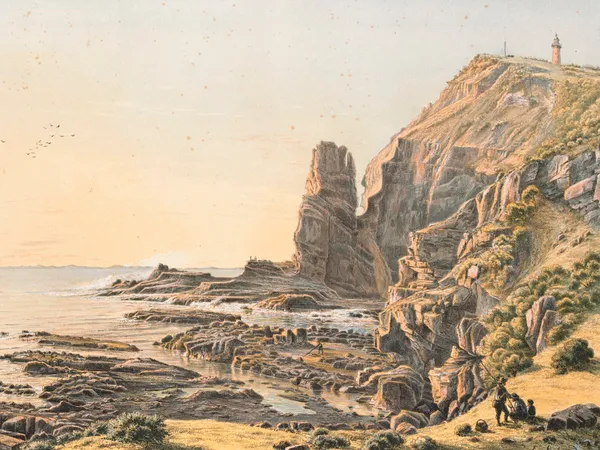 Coastal cliffs and ocean environment